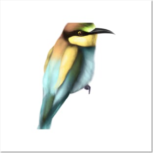 Cute Bee-Eater Drawing Posters and Art